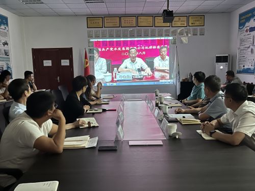 【河海水文】水發(fā)水控集團(tuán)黨委委員、紀(jì)委書記王高升到河海公司全面從嚴(yán)治黨、黨風(fēng)廉政建設(shè)專題調(diào)研 (1).jpg